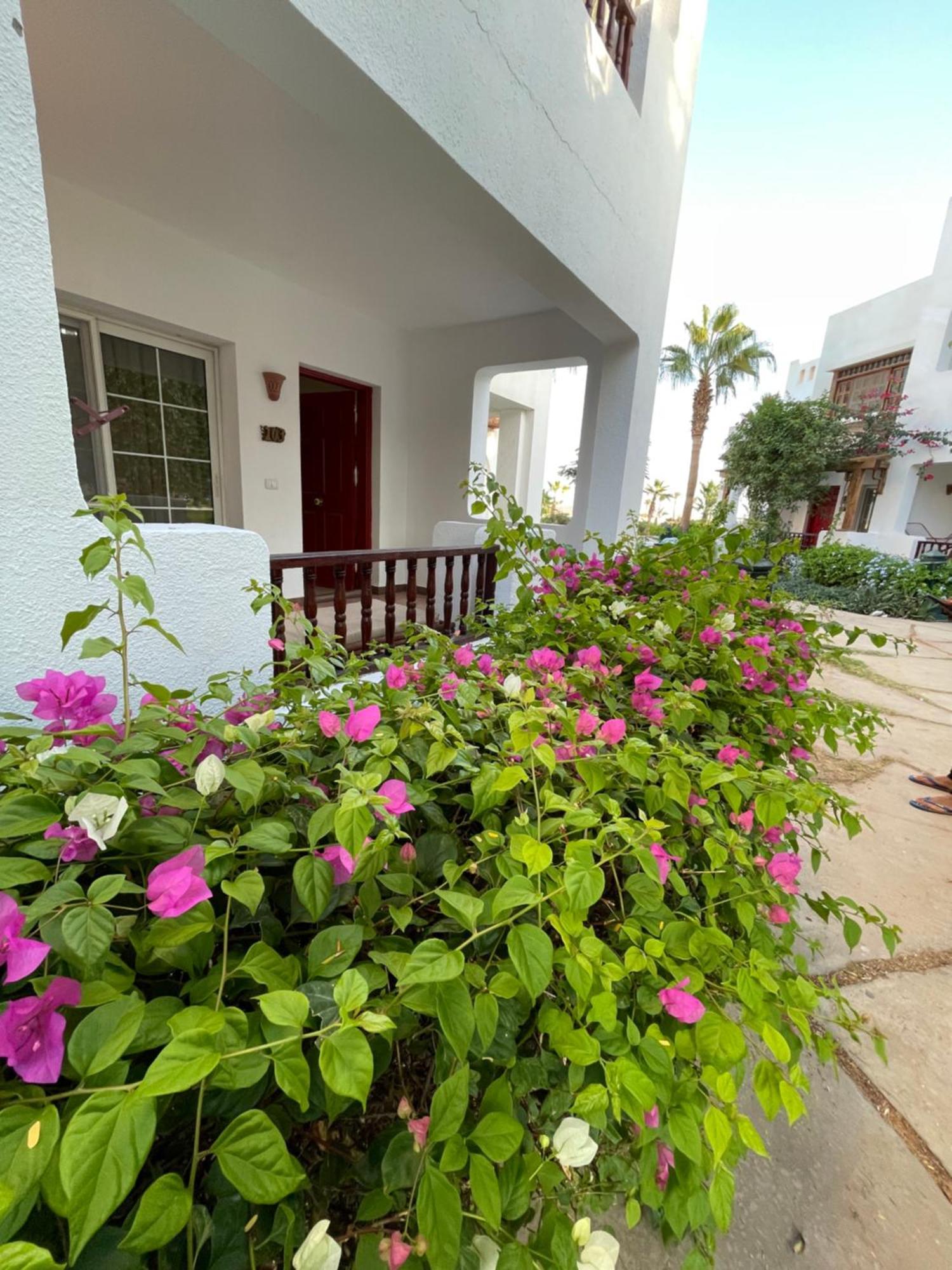 Delta Sharm Apartments With Free Internet Wi-Fi Ngoại thất bức ảnh
